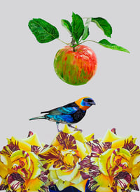 Image 2 of EL OBJETO DE CONTEMPLACIÓN, 2023