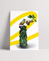 Image 2 of CAMUFLAJE AL NATURAL