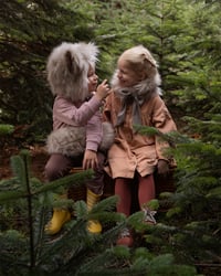 Image 1 of Christmas Tree Farm mini shoot