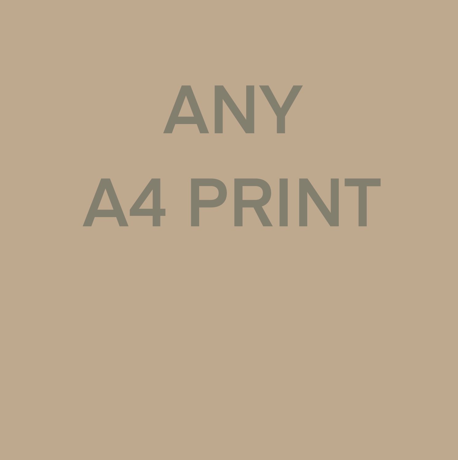 Image of Any A4 print