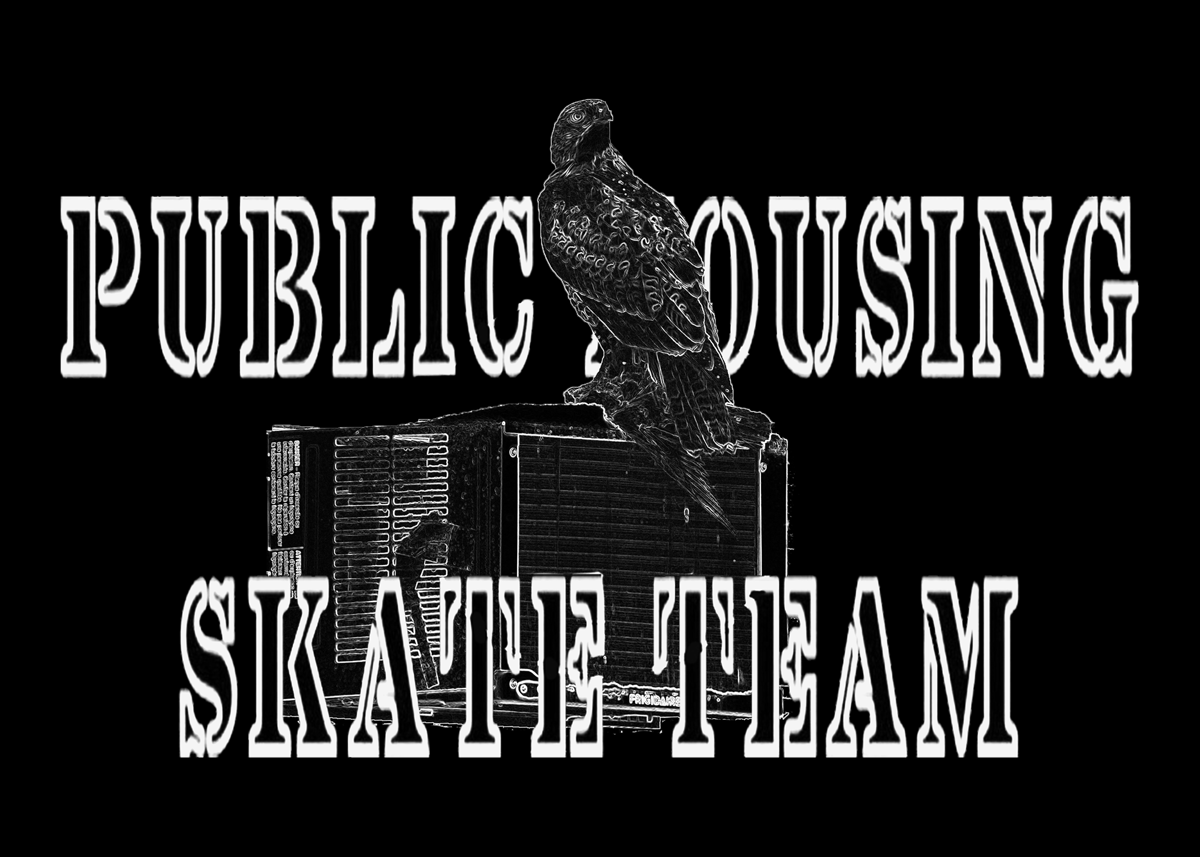 Image of HAWK HOODIE