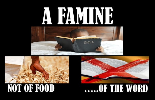 Image of A famine of the Word of God DVD