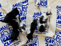 Image 2 of Galloway Cat Clinic | Fundraiser | Tote Bag | T-Shirt