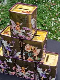 Image 3 of Flower Fairy Money Box Tin