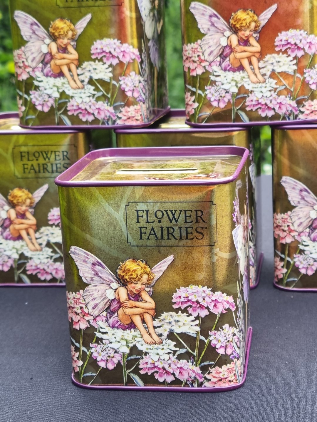 Image of Flower Fairy Money Box Tin