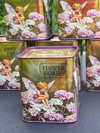 Image 1 of Flower Fairy Money Box Tin