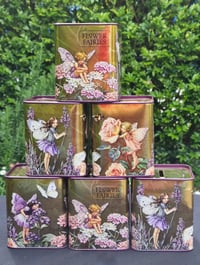 Image 2 of Flower Fairy Money Box Tin