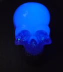 Custom Skull