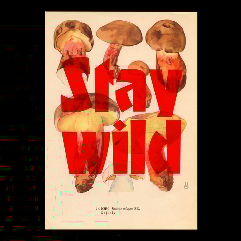 Stay wild – mushroom edition Image 3