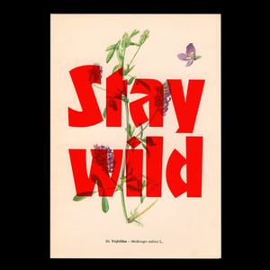 Image of Stay wild – flower edition
