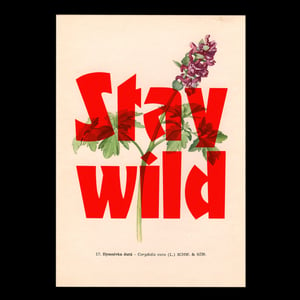 Image of Stay wild – flower edition