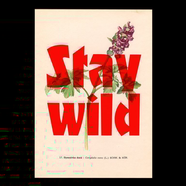 Stay wild – flower edition Image 2