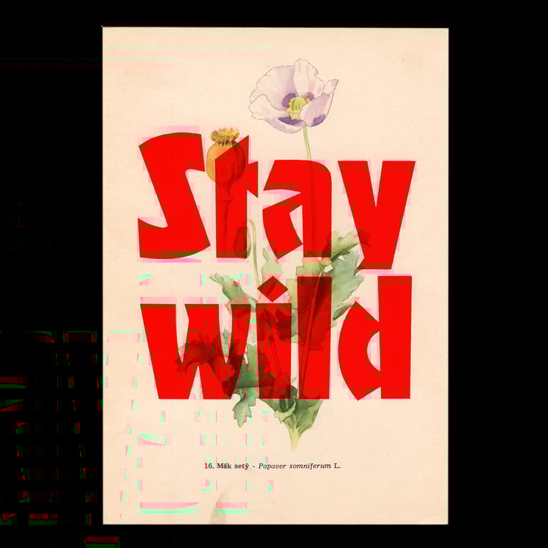 Stay wild – flower edition Image 3