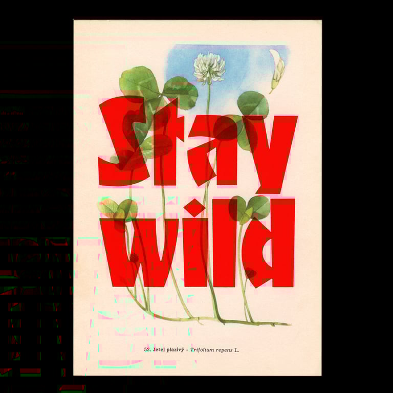 Stay wild – flower edition Image 4