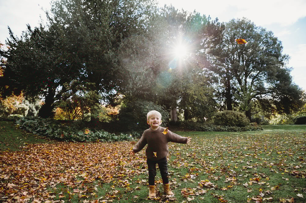 Image of Autumn Mini Shoot