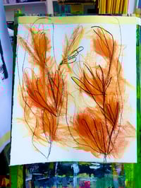 Analóg Angelika: Növény tanulmány