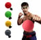 Image of Boxing Speed Ball 