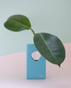 Propagation Station "Ōvase Tall Turquoise"