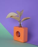 Propagation Station "Ovase Squared Orange"