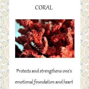 Image of Day of Dead Peach Coral and Howlite Skull and butterfly