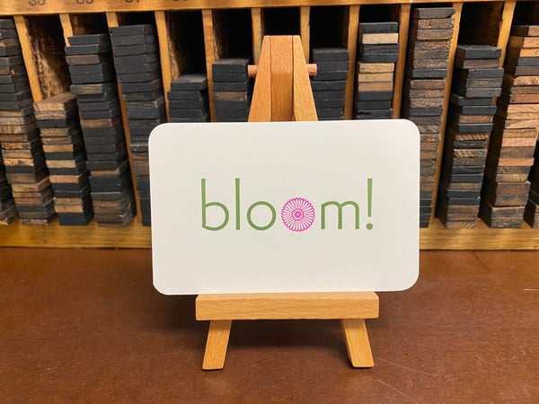 Image of Offcutes: BLOOM!