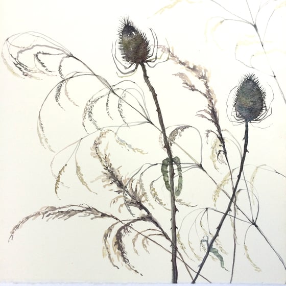 Image of Late Summer Teasels 