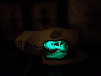 Image 3 of Glowy Trex Skull Sticker