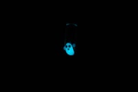 Image 2 of Set of 2 Glow in the Dark Ghost Straws