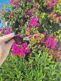 Image 1 of Milano 2.0 sunglasses 