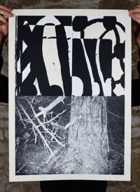 Image 1 of Deep roots #2