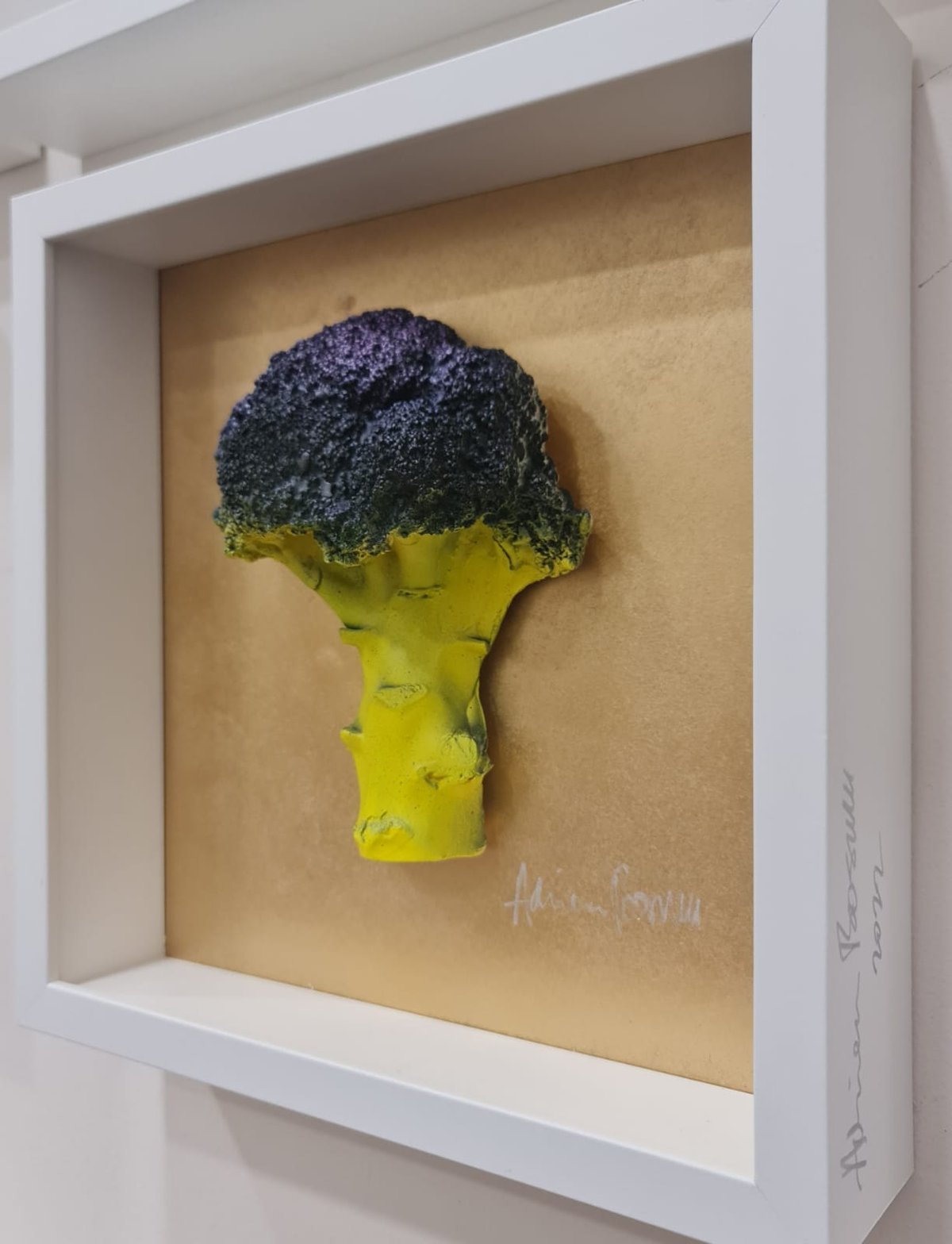 Image of BROCCOLI V