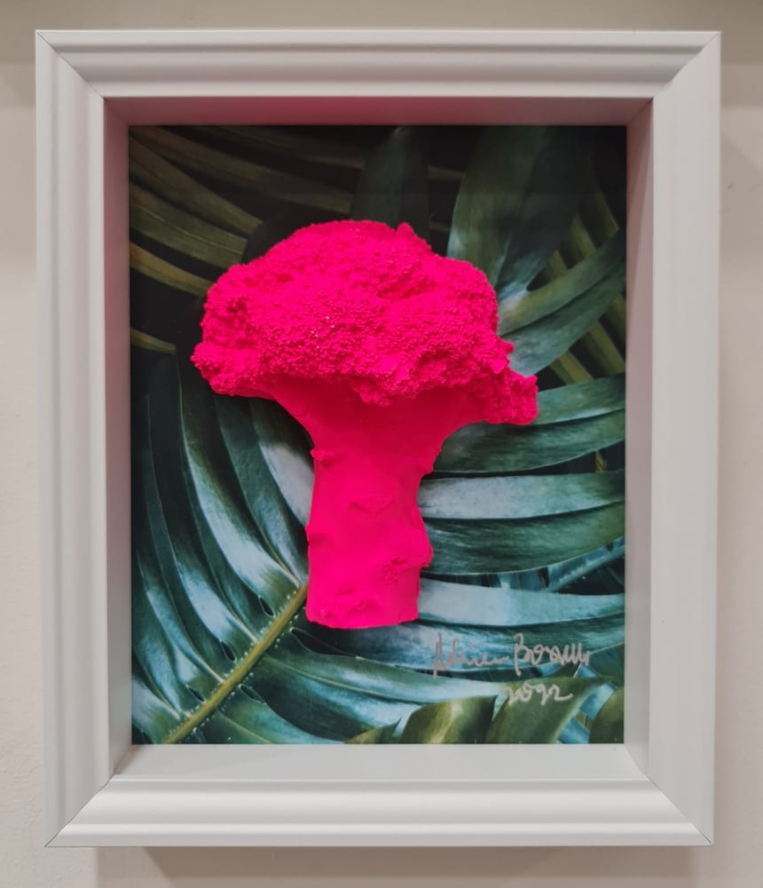 Image of FOREST (Deluxe)