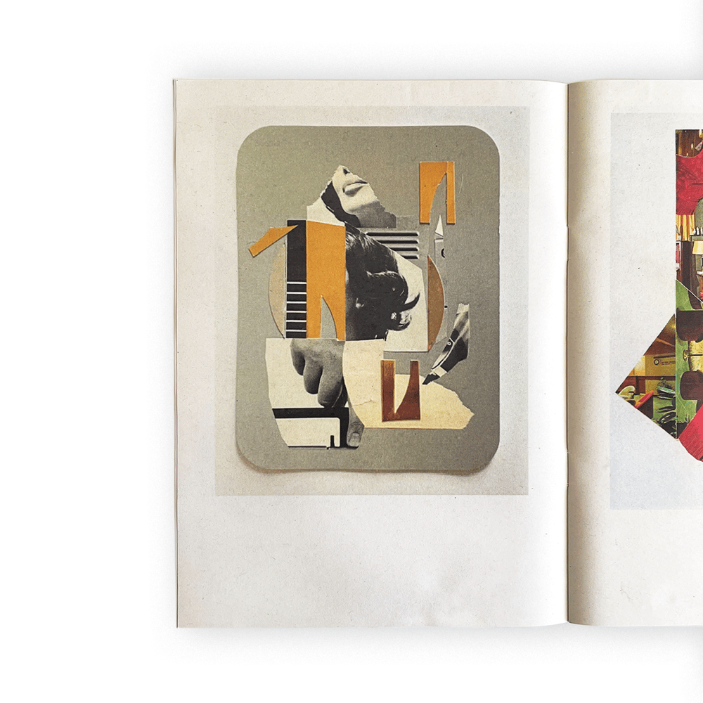 TO PASS OVER THE BRUSH WITHOUT THE USE OF POWER by ANOUK SUGÀR