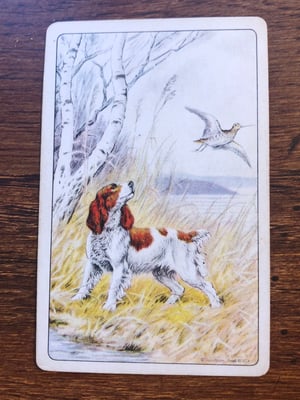 Image of Vintage Playing Cards - mostly bird dogs