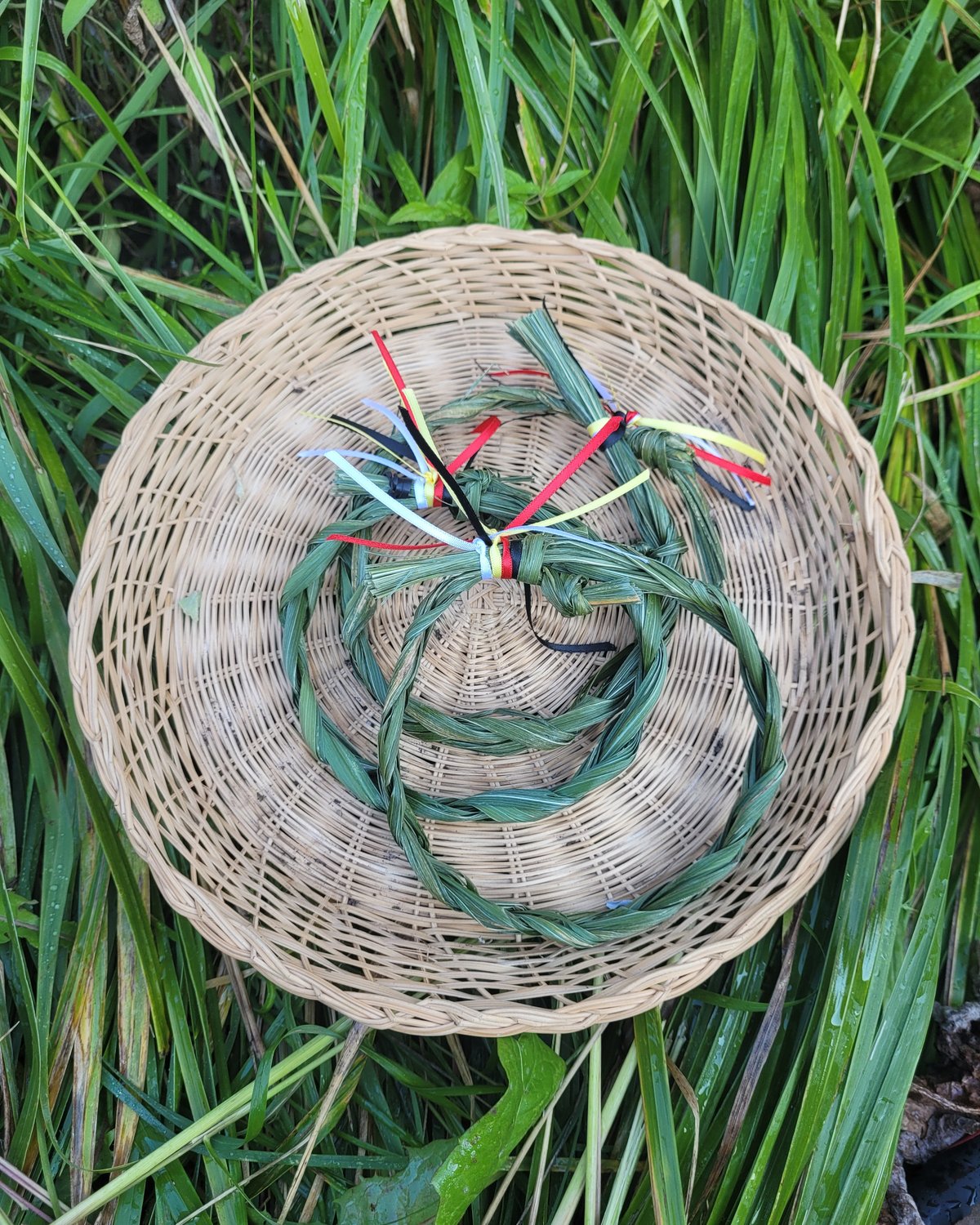 Image of Medicine Wheel Sweetgrass Braid