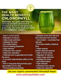 Organic Chlorophyll Concentrated Drops 2fl oz (60 ml)