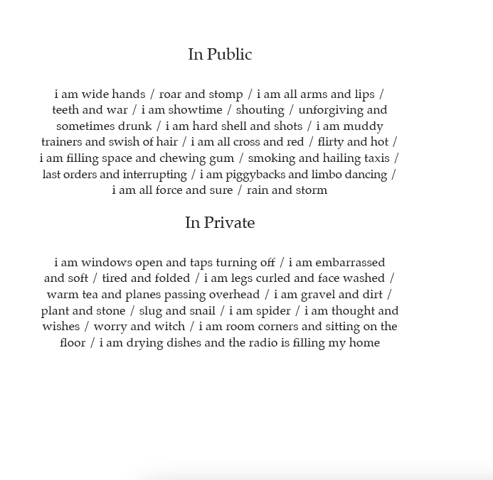 Image of In Public/In Private by Leyla Josephine