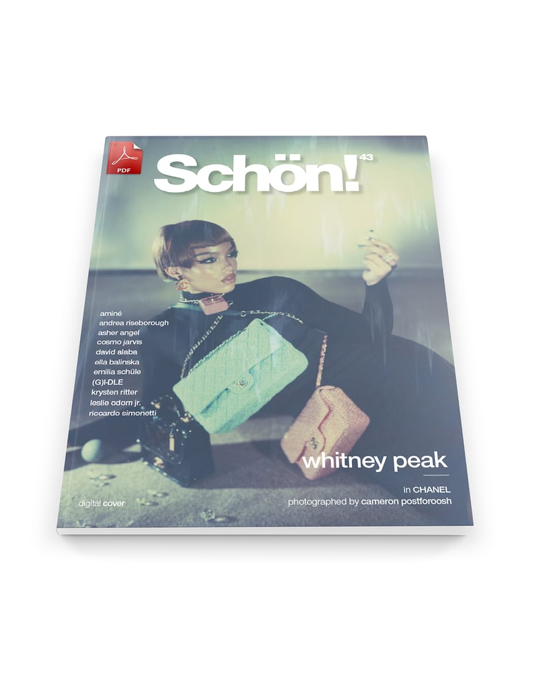Image of Schön! 43 | Whitney Peak by Cameron Postforoosh | eBook download