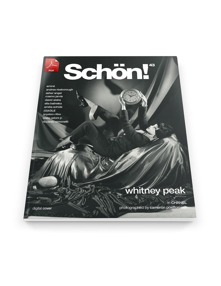 Image of Schön! 43 | Whitney Peak by Cameron Postforoosh | eBook 2 download