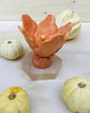 FIORI DI ZUCCA