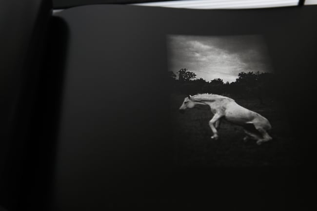 MONO Volume Two - Gold Edition