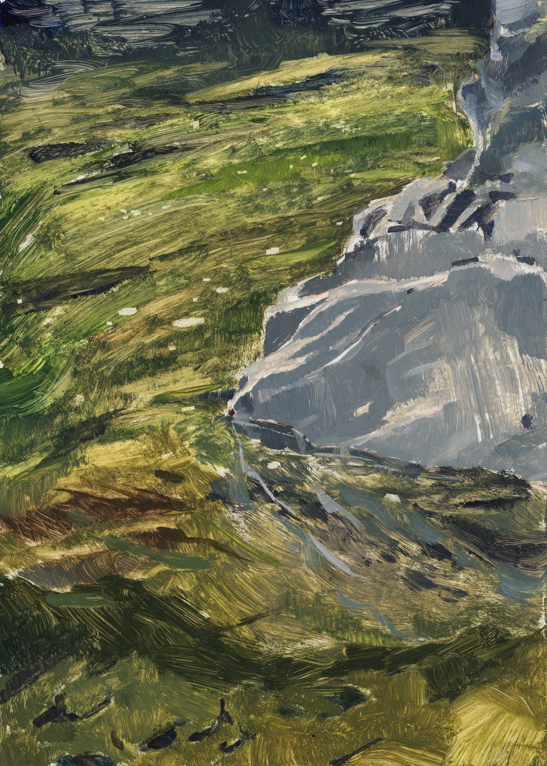 Image of Sooke Shallows