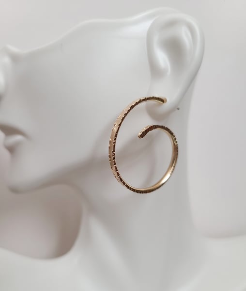 Image of Hammered Edge Hoops