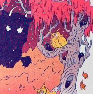 The Book of Owls