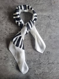 Image 4 of *NEW* Silk Scarf ~ Evolution