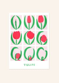 Image 2 of Affiche Tulipe — Irène Caron