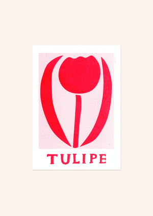 Petite Tulipe — Irène Caron 