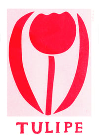 Image 2 of Petite Tulipe — Irène Caron 