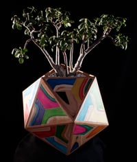 Image 2 of Icosahedron Planter