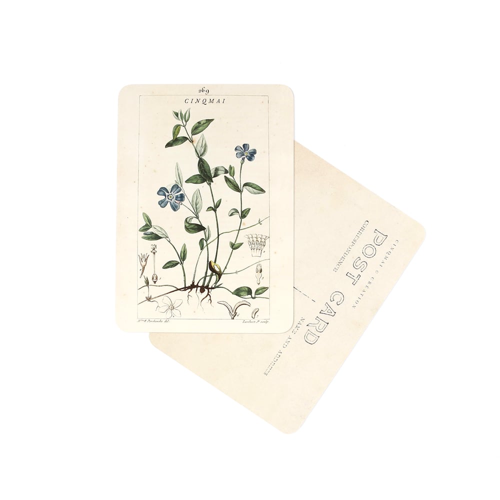 Image of Carte Postale FLEURS BLEUES